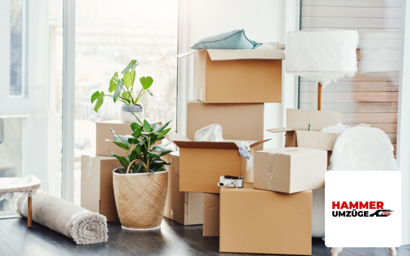 Umzüge Hammer Referenz, Bild mit Umzugskatons und Logo